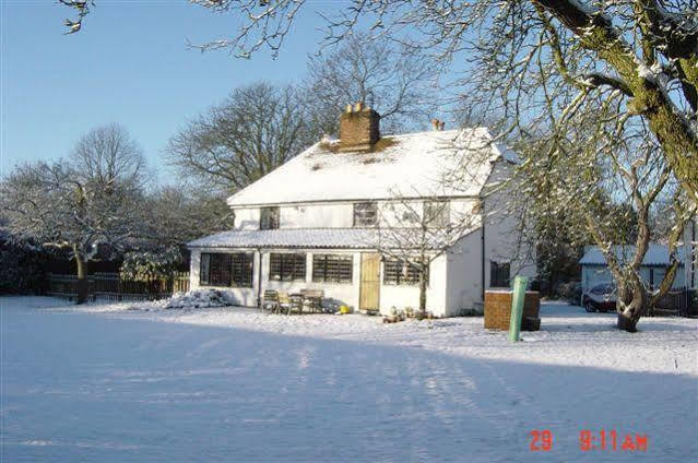 Bed and Breakfast The White House Takeley Екстер'єр фото